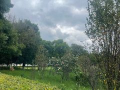 -安宁市宁湖森林公园