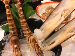 -鲜入围煮花胶鸡海鲜火锅