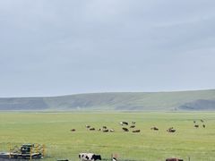 -顶顶汤火牛排火锅·经典铜锅涮肉