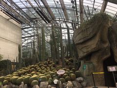 -南山植物园