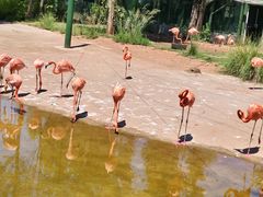 -鄂尔多斯野生动物园