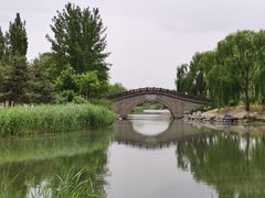 -大兴滨河森林公园