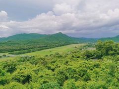 -亚龙湾热带天堂森林公园
