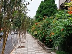 -岳阳道小学(大理道校区)