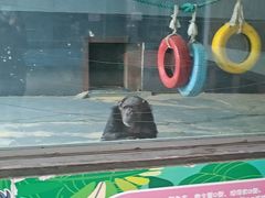 -无锡动物园·太湖欢乐园