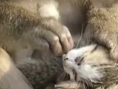 -昆明动物园
