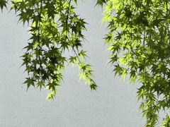 -南京市民俗博物馆(甘熙故居)