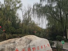 -习家池