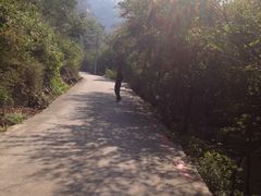 -洛阳花果山景区