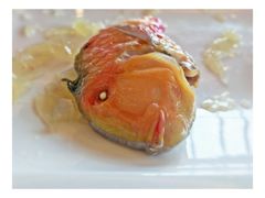 -潮汕味道·煮海餐厅(金麟大厦店)