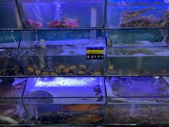 -东山壹号海鲜餐厅(金銮名都店)