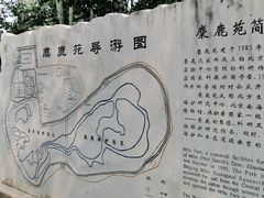 -北京麋鹿生态实验中心