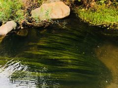 -碓臼峪自然风景区