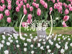 -西宁市人民公园(城西区)