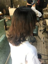-M3 Hair Studio