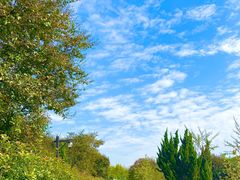 -武汉紫薇都市田园