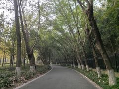 -狼山风景名胜区