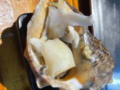 韩式海螺-丹东特色烤肉(南光三部店)