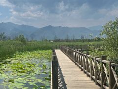 -野鸭湖国家湿地公园