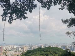-广州市白云山风景名胜区