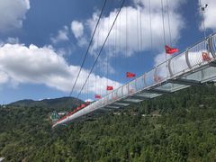 -玉苍山国家森林公园
