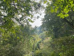 -香山公园