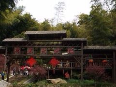 iphone_upload_pic-宁波浙东大竹海景区