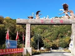 -望天鹅景区