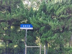 -八大关-近代建筑