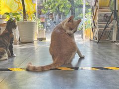 大堂-五进制 Coffee Shop