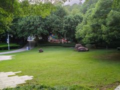 -金鸡山公园