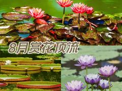 -国家植物园