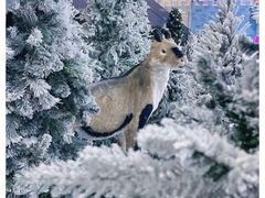 -世界之窗阿尔卑斯冰雪世界