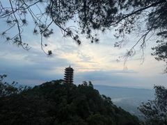 -缙云山景区