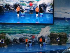 -多彩贵州城极地海洋世界