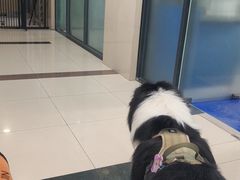 -申普宠物医院·眼科·心内科·影像科(普陀分院)