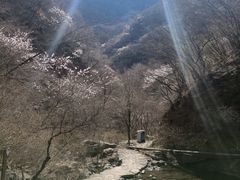 -濂泉响谷