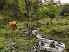-硗碛藏寨·神木垒景区