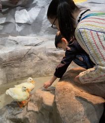 -Zoolung Zoolung动物主题公园(海信广场店)