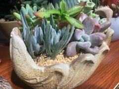 -何兮花店·气球派对鲜花店(马桥银春路万科城店)