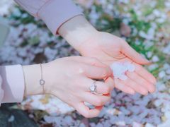 -高东镇樱花园