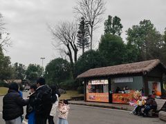 -枫香湖儿童公园