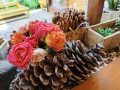 -饵块食光·云南有机手作饵块