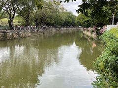 -晓港公园