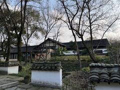 -西溪国家湿地公园