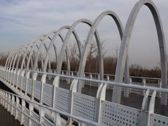 -大兴滨河森林公园