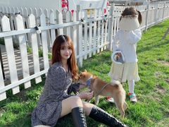 -TIPPI营地 房车主题·露营烧烤团建轰趴(天安假日店)