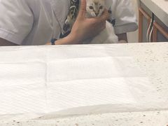 -宠爱国际动物医院·疑难骨科·心肾内科·皮肤科(太阳宫店)