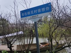 -南汇桃花村