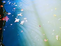 -天津东丽湖风景区